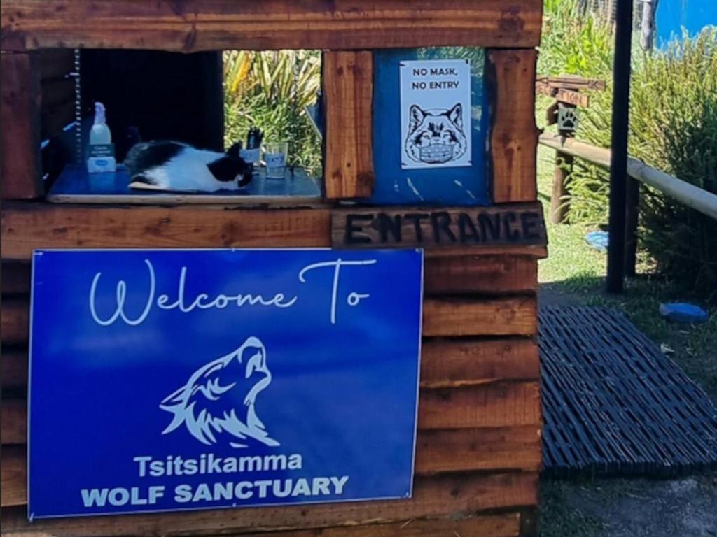 Tsitsikamma Wolf Sanctuary Eco Cabins & Teepees Стормсрівер Екстер'єр фото