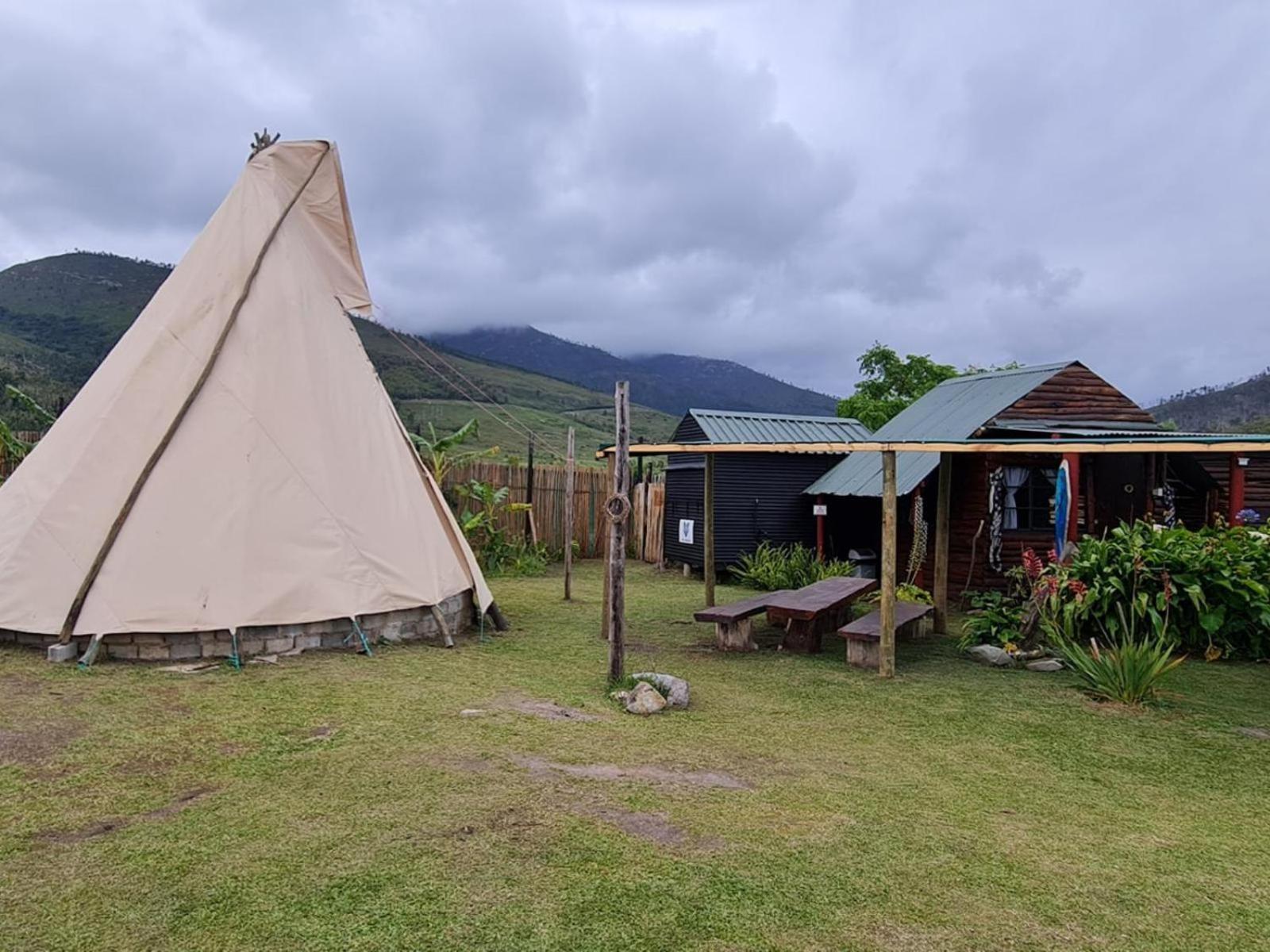 Tsitsikamma Wolf Sanctuary Eco Cabins & Teepees Стормсрівер Екстер'єр фото