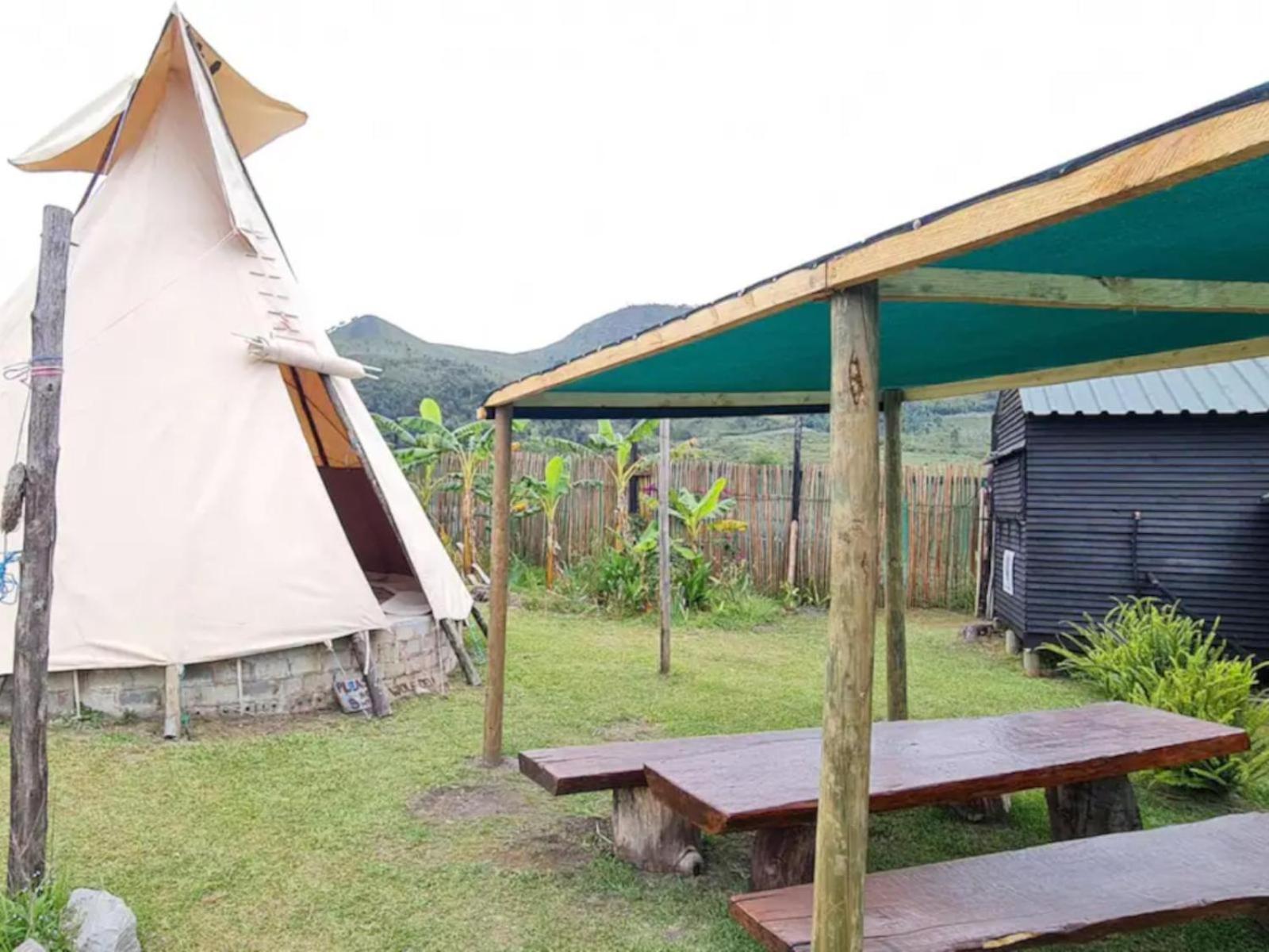 Tsitsikamma Wolf Sanctuary Eco Cabins & Teepees Стормсрівер Екстер'єр фото