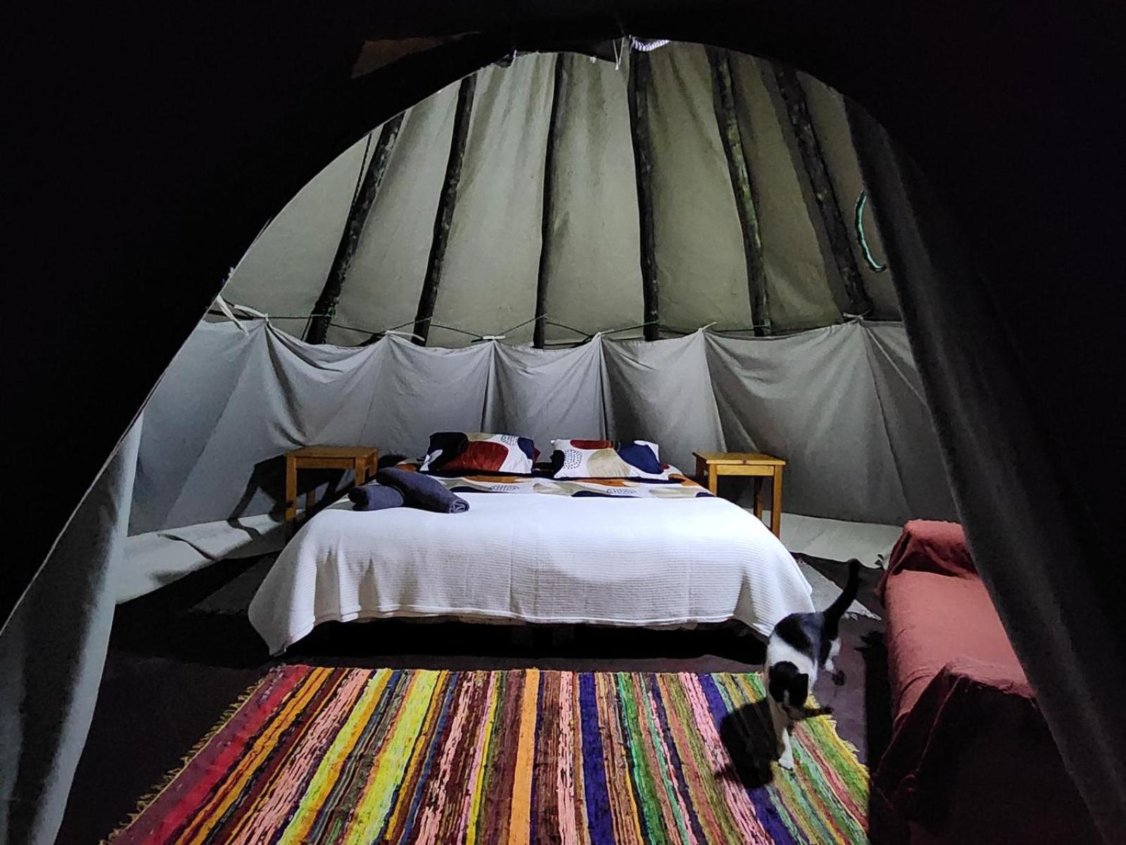 Tsitsikamma Wolf Sanctuary Eco Cabins & Teepees Стормсрівер Номер фото